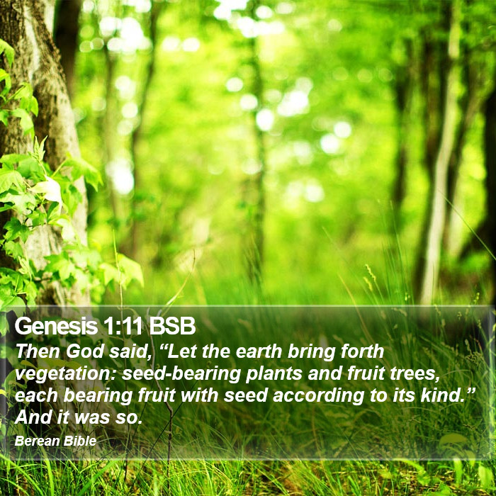 Genesis 1:11 BSB Bible Study