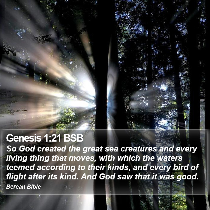 Genesis 1:21 BSB Bible Study