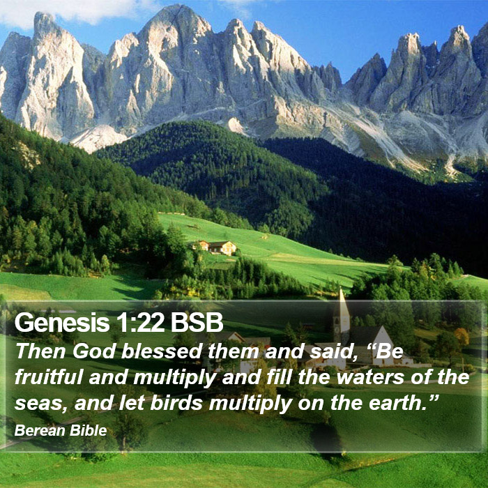 Genesis 1:22 BSB Bible Study