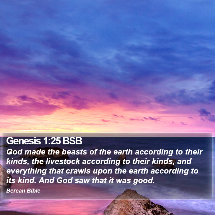 Genesis 1:25 BSB Bible Study