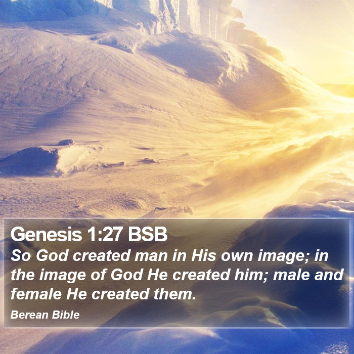 Genesis 1:27 BSB Bible Study