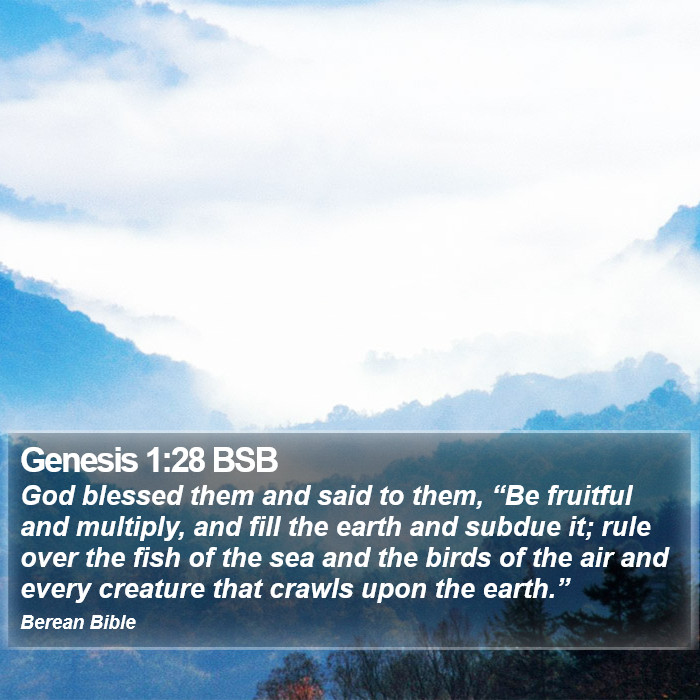 Genesis 1:28 BSB Bible Study