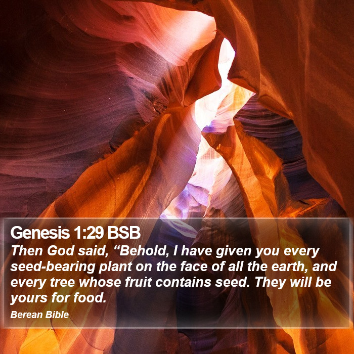 Genesis 1:29 BSB Bible Study