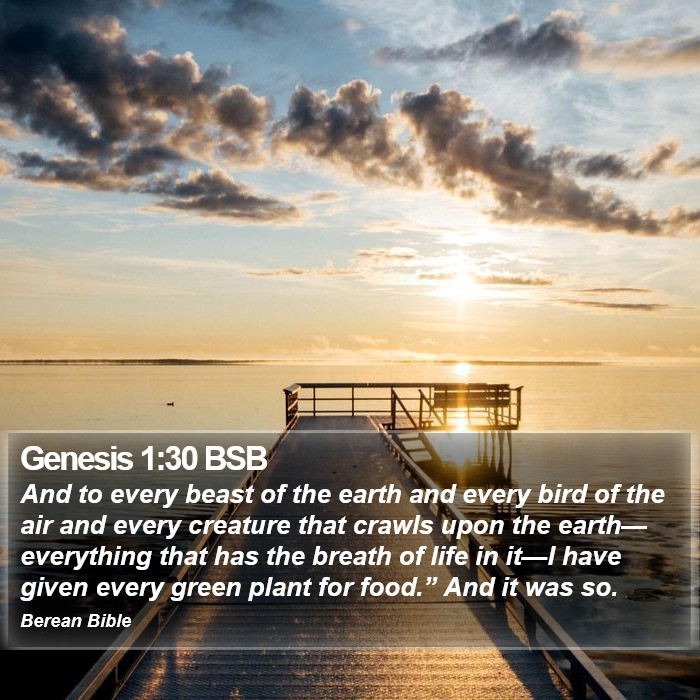 Genesis 1:30 BSB Bible Study