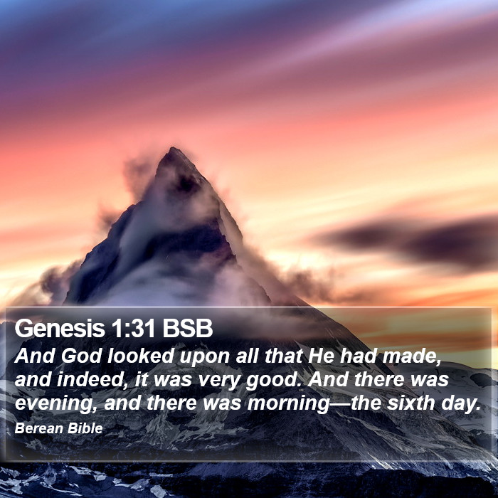 Genesis 1:31 BSB Bible Study