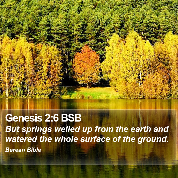 Genesis 2:6 BSB Bible Study