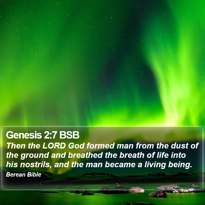 Genesis 2:7 BSB Bible Study