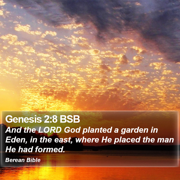 Genesis 2:8 BSB Bible Study