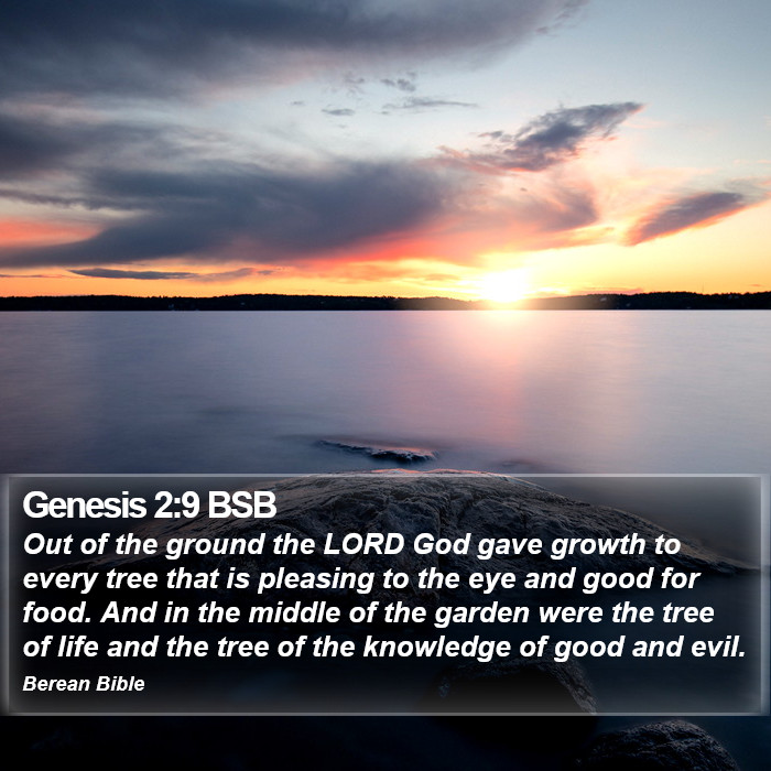 Genesis 2:9 BSB Bible Study