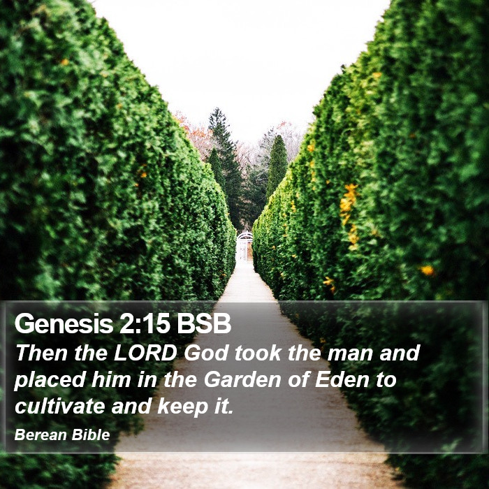 Genesis 2:15 BSB Bible Study