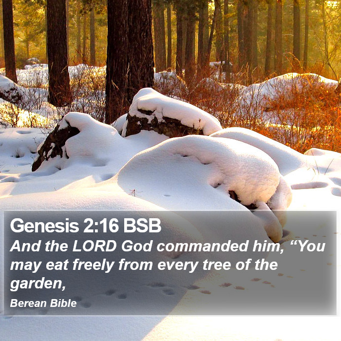 Genesis 2:16 BSB Bible Study