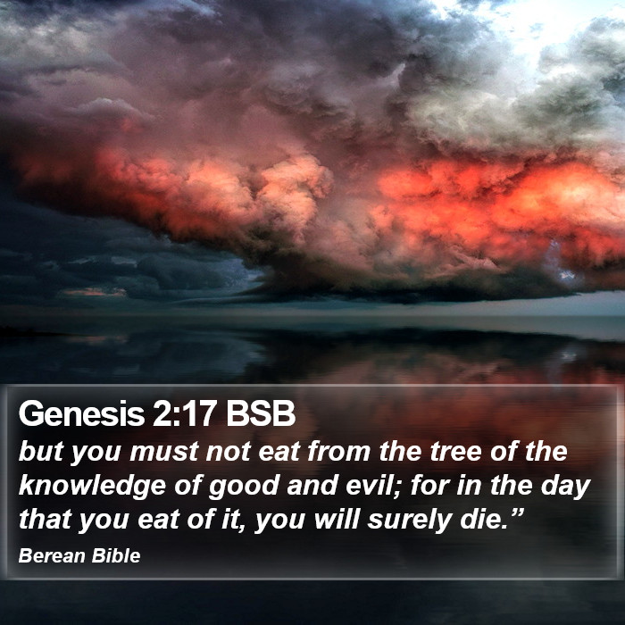 Genesis 2:17 BSB Bible Study