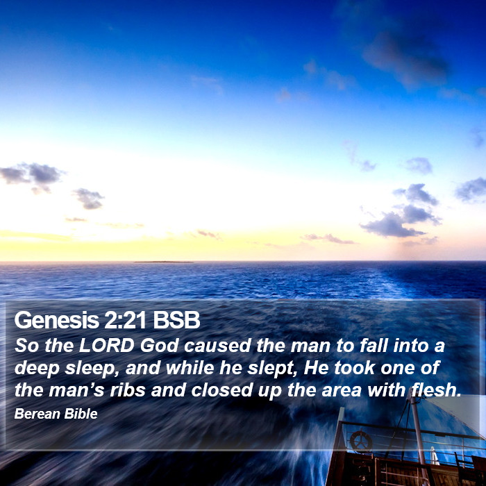 Genesis 2:21 BSB Bible Study