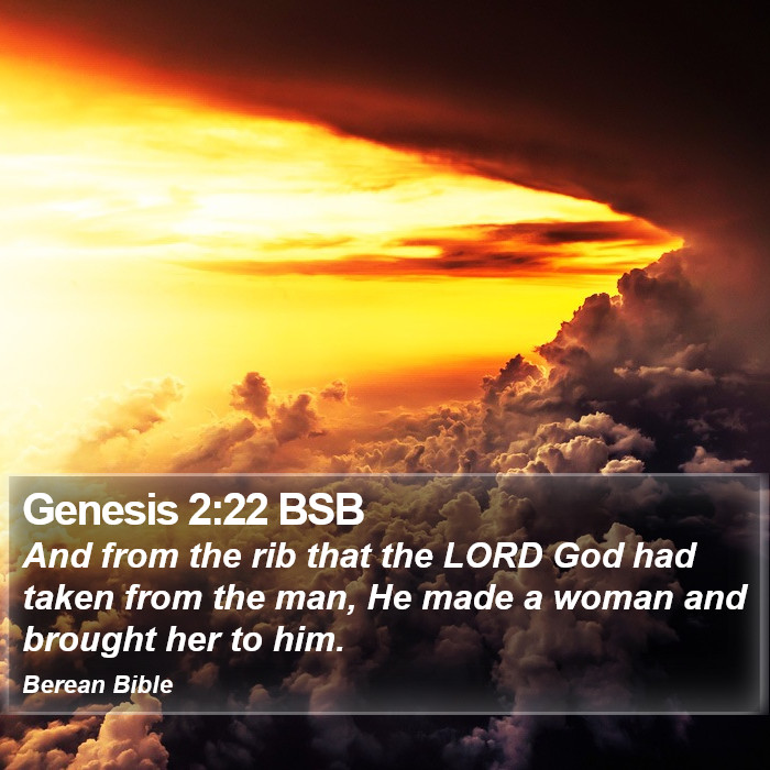 Genesis 2:22 BSB Bible Study