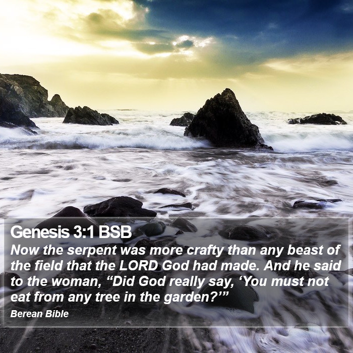 Genesis 3:1 BSB Bible Study