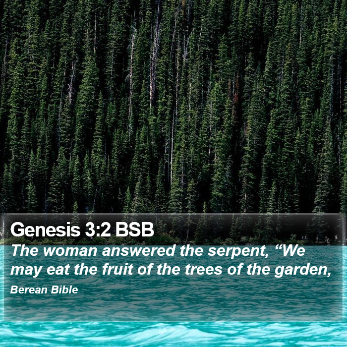 Genesis 3:2 BSB Bible Study