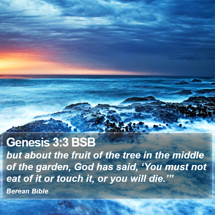 Genesis 3:3 BSB Bible Study