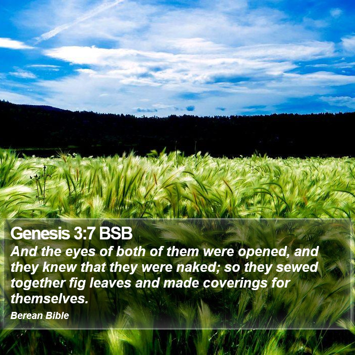 Genesis 3:7 BSB Bible Study