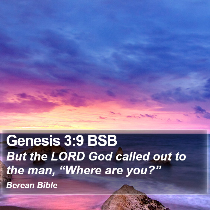 Genesis 3:9 BSB Bible Study