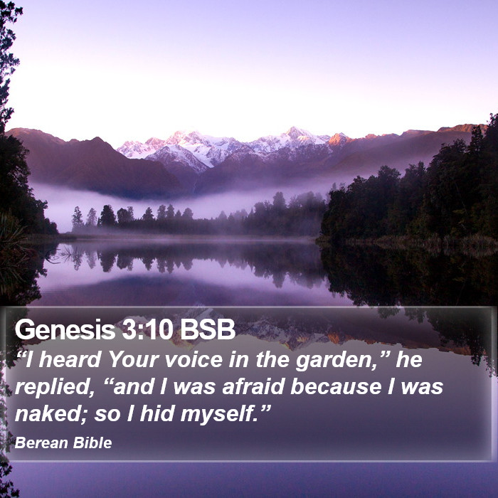 Genesis 3:10 BSB Bible Study