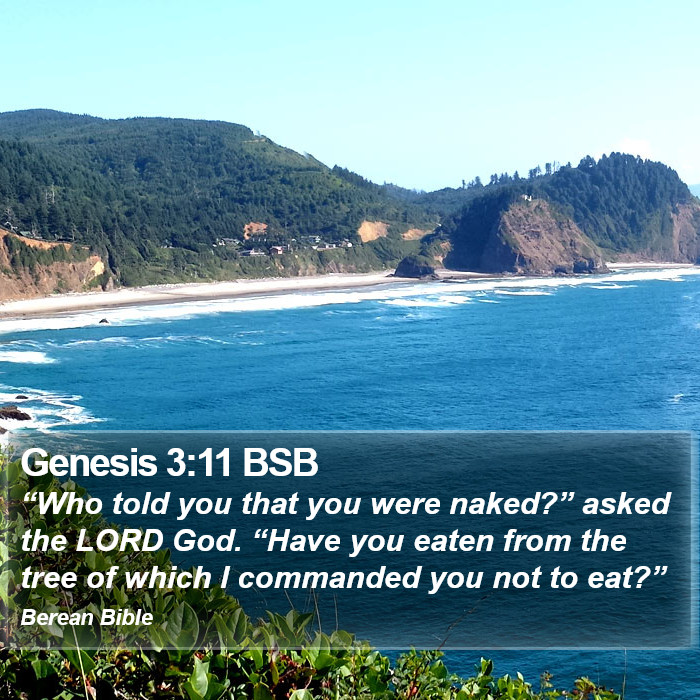 Genesis 3:11 BSB Bible Study