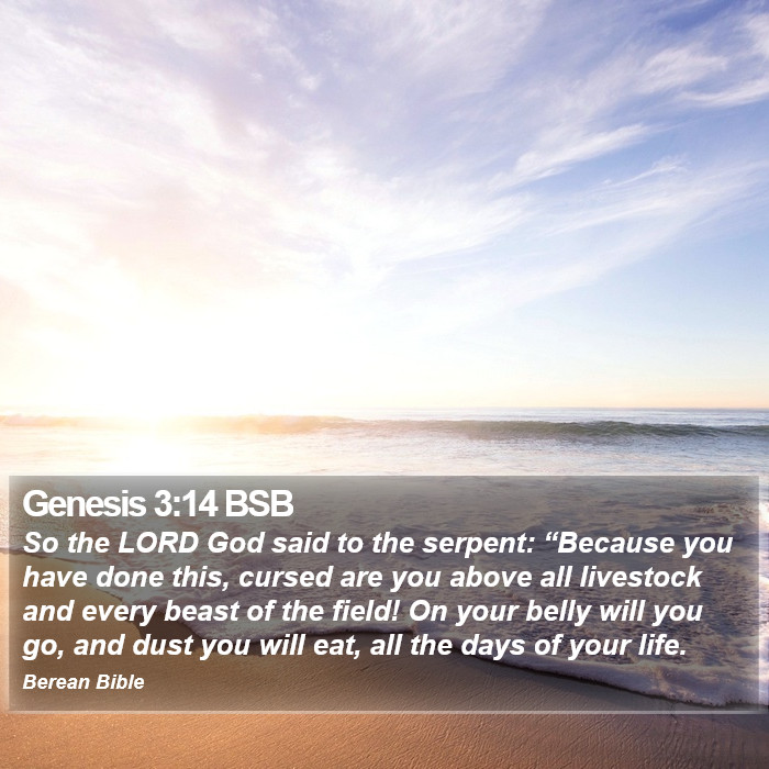 Genesis 3:14 BSB Bible Study