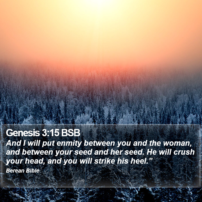 Genesis 3:15 BSB Bible Study