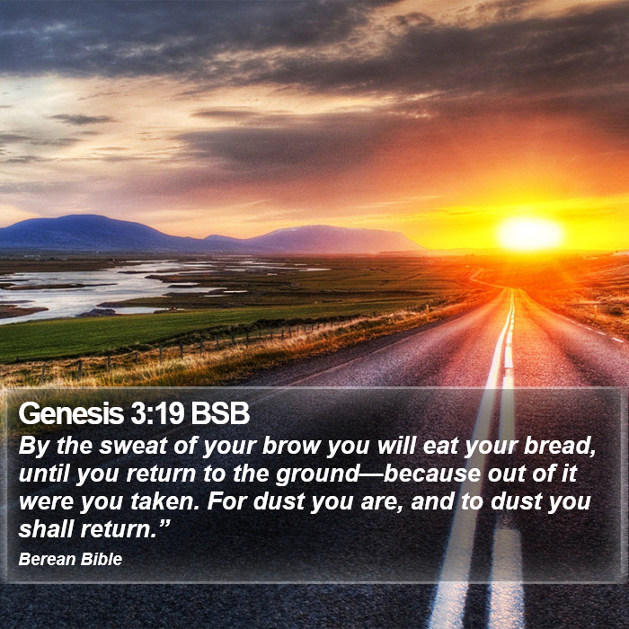 Genesis 3:19 BSB Bible Study