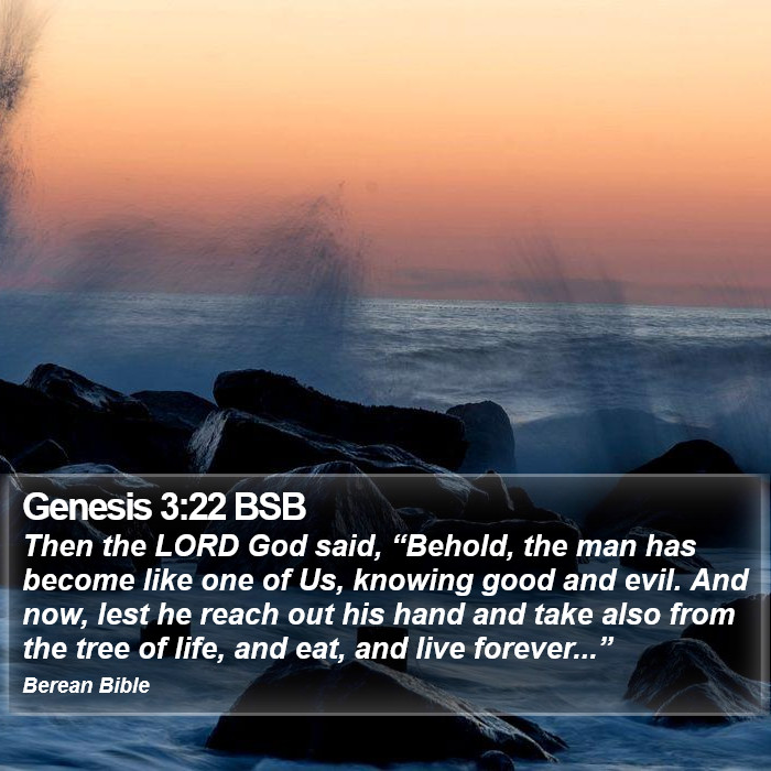 Genesis 3:22 BSB Bible Study