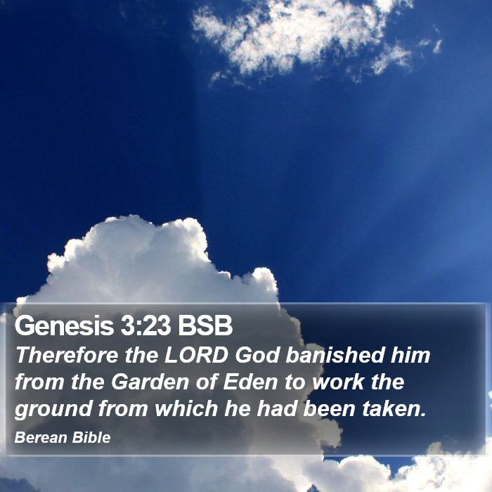 Genesis 3:23 BSB Bible Study