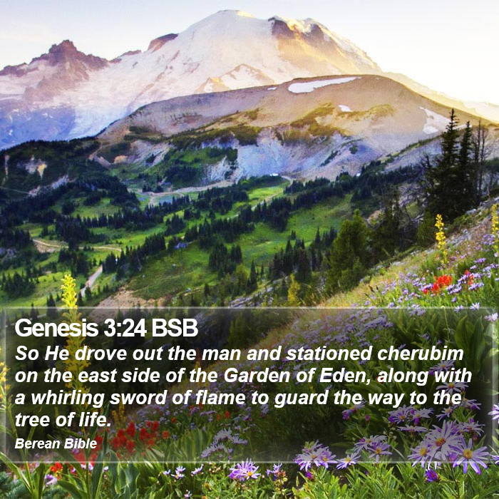 Genesis 3:24 BSB Bible Study