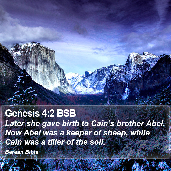 Genesis 4:2 BSB Bible Study