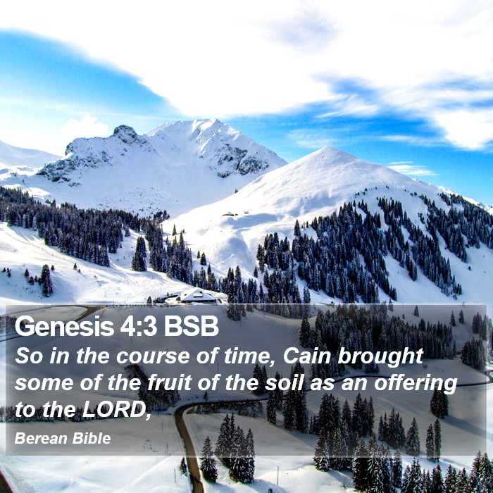 Genesis 4:3 BSB Bible Study