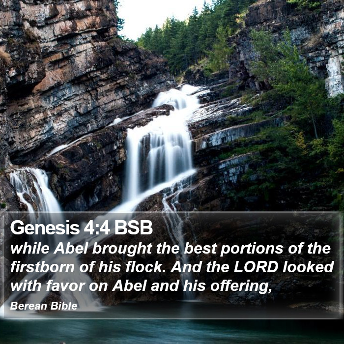 Genesis 4:4 BSB Bible Study