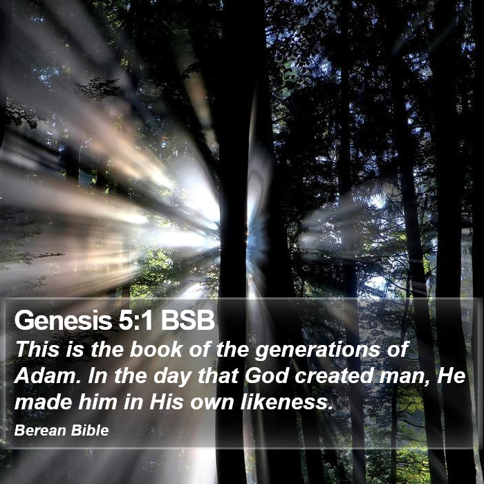 Genesis 5:1 BSB Bible Study