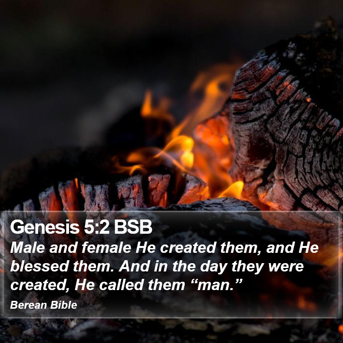 Genesis 5:2 BSB Bible Study