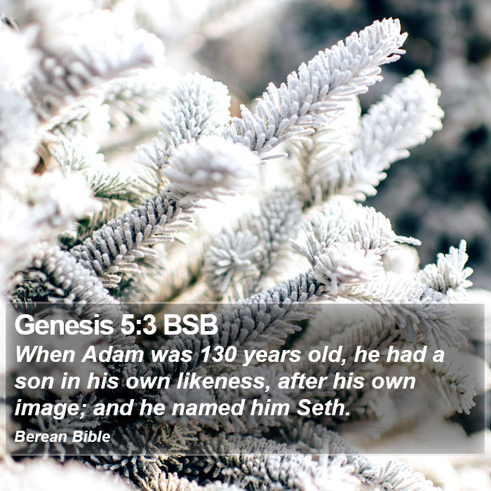 Genesis 5:3 BSB Bible Study