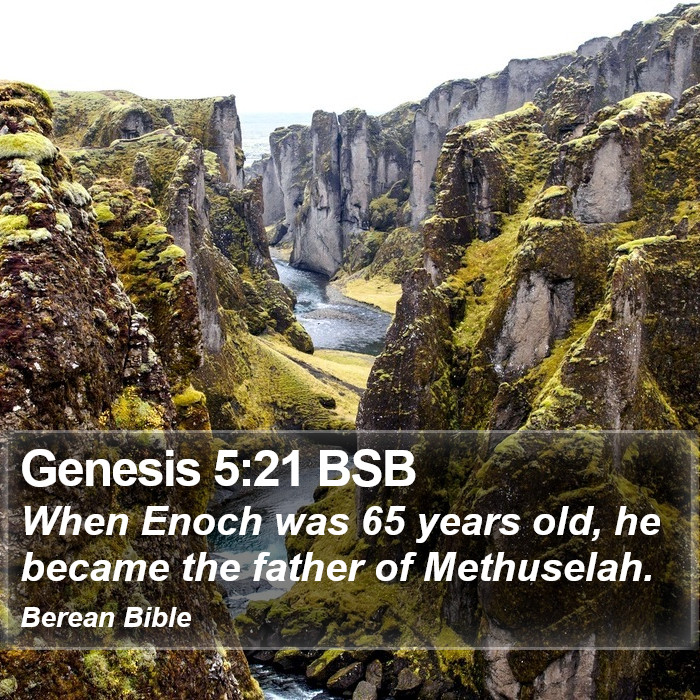 Genesis 5:21 BSB Bible Study