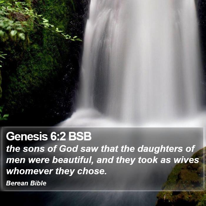 Genesis 6:2 BSB Bible Study