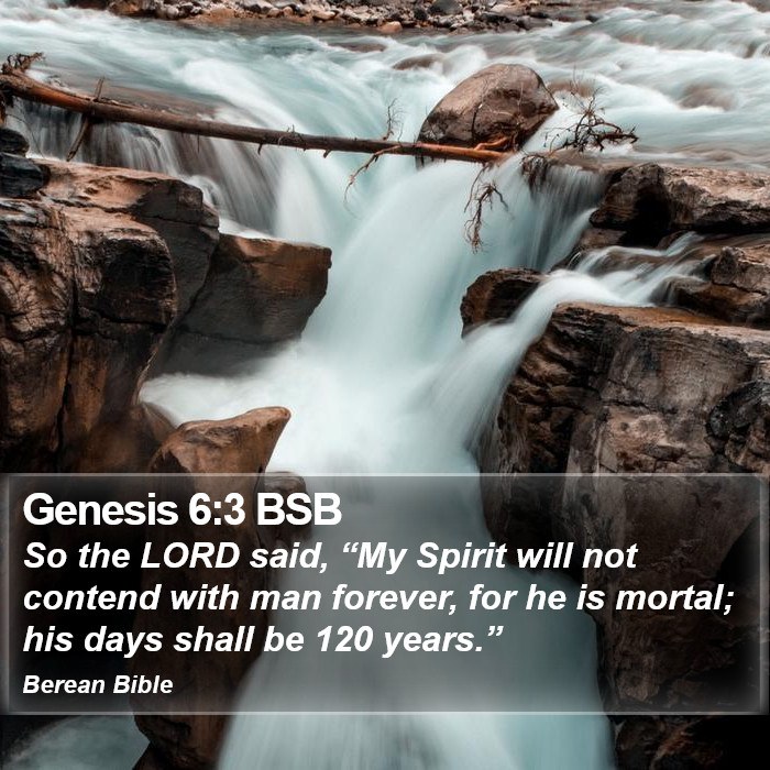 Genesis 6:3 BSB Bible Study