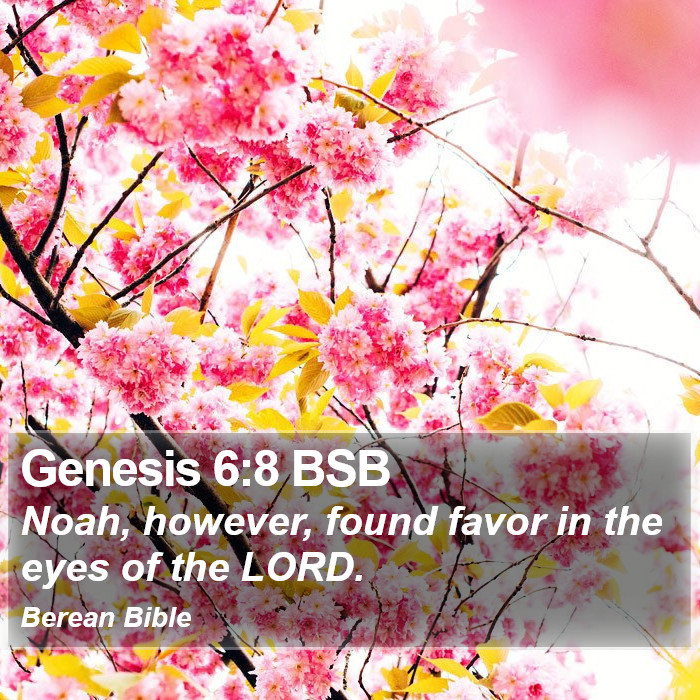 Genesis 6:8 BSB Bible Study