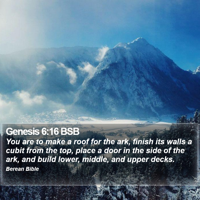 Genesis 6:16 BSB Bible Study