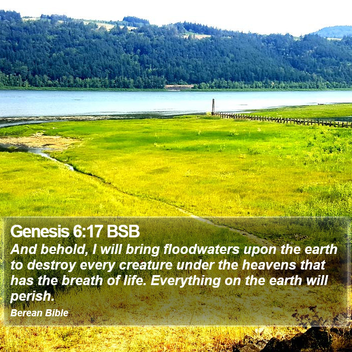 Genesis 6:17 BSB Bible Study