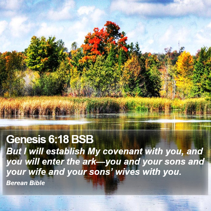 Genesis 6:18 BSB Bible Study