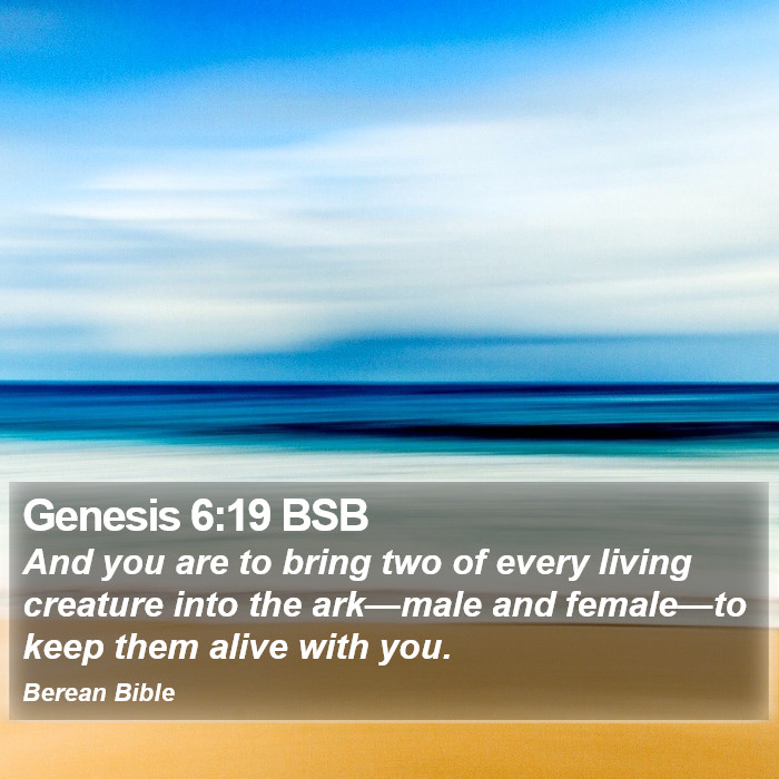 Genesis 6:19 BSB Bible Study