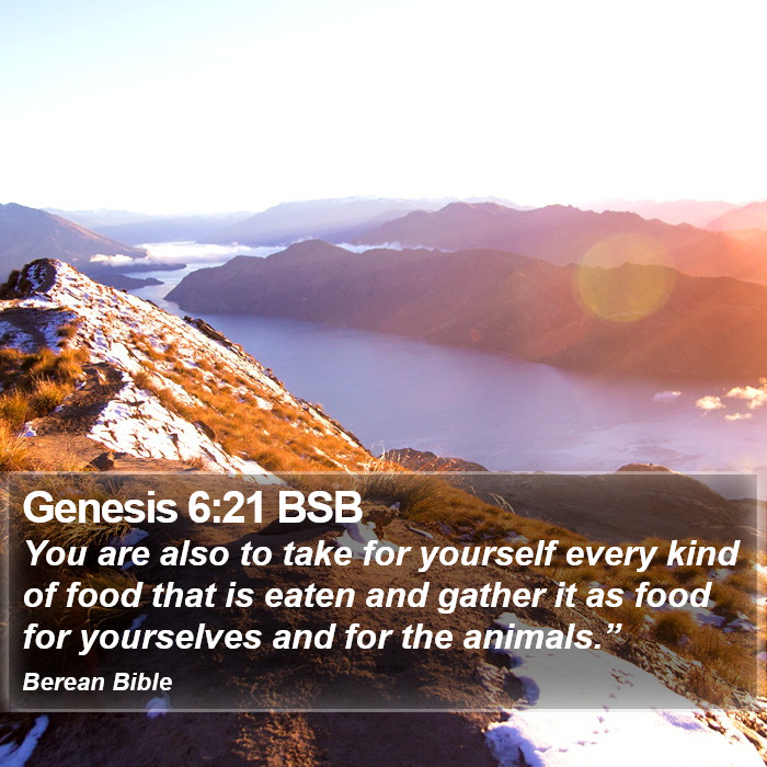 Genesis 6:21 BSB Bible Study