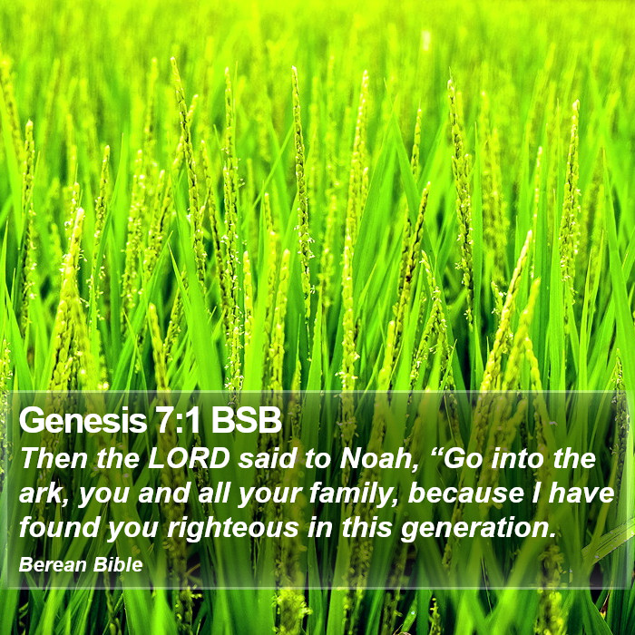 Genesis 7:1 BSB Bible Study