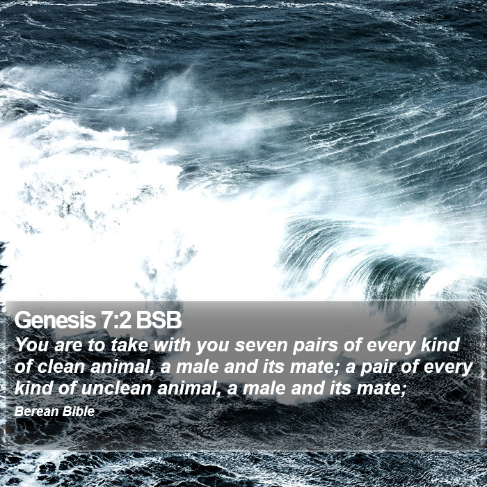 Genesis 7:2 BSB Bible Study