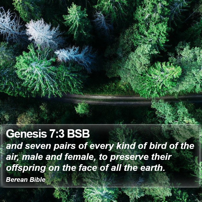 Genesis 7:3 BSB Bible Study