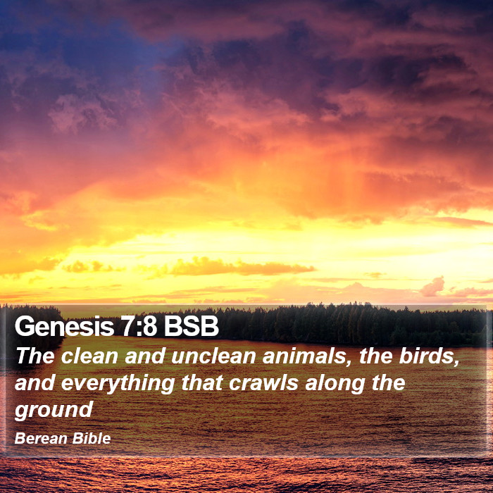 Genesis 7:8 BSB Bible Study